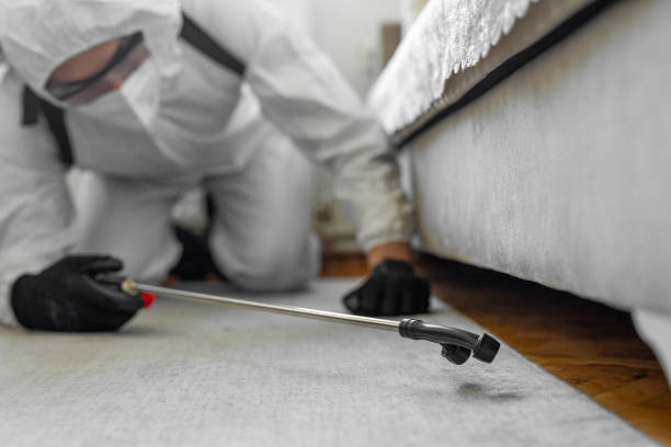 Professional Bed Bug Control technician working in River Road, WA