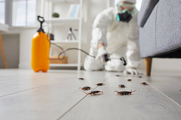 Trusted Bed Bug Control service in River Road, WA - Nex Pest Control