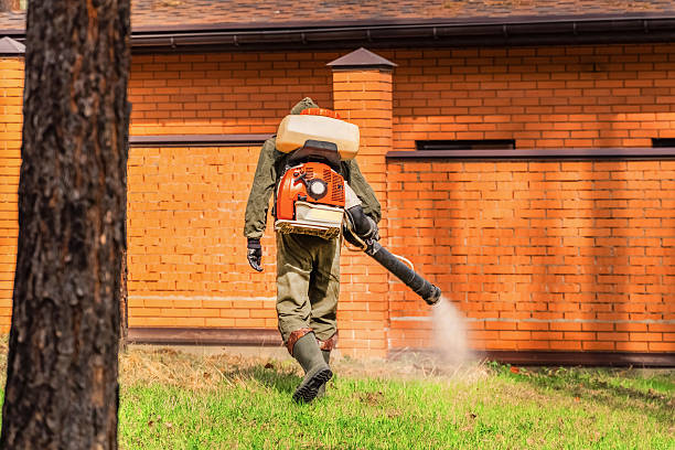 Trusted Cockroach Control service in River Road, WA - Nex Pest Control